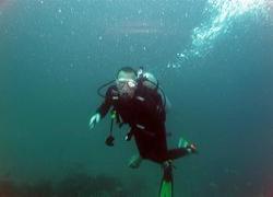 Diving Ko Phayam